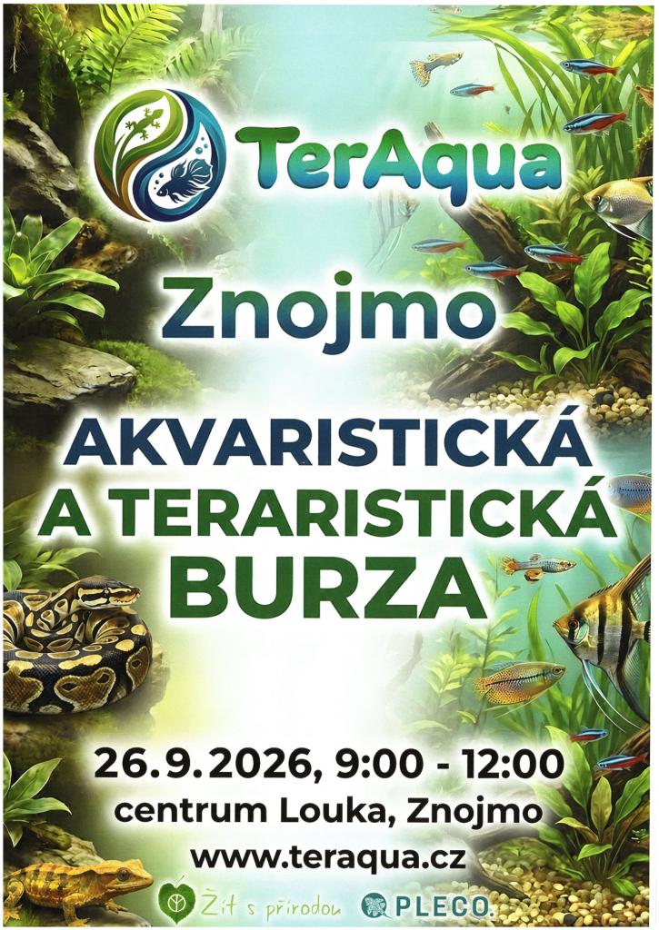 burza